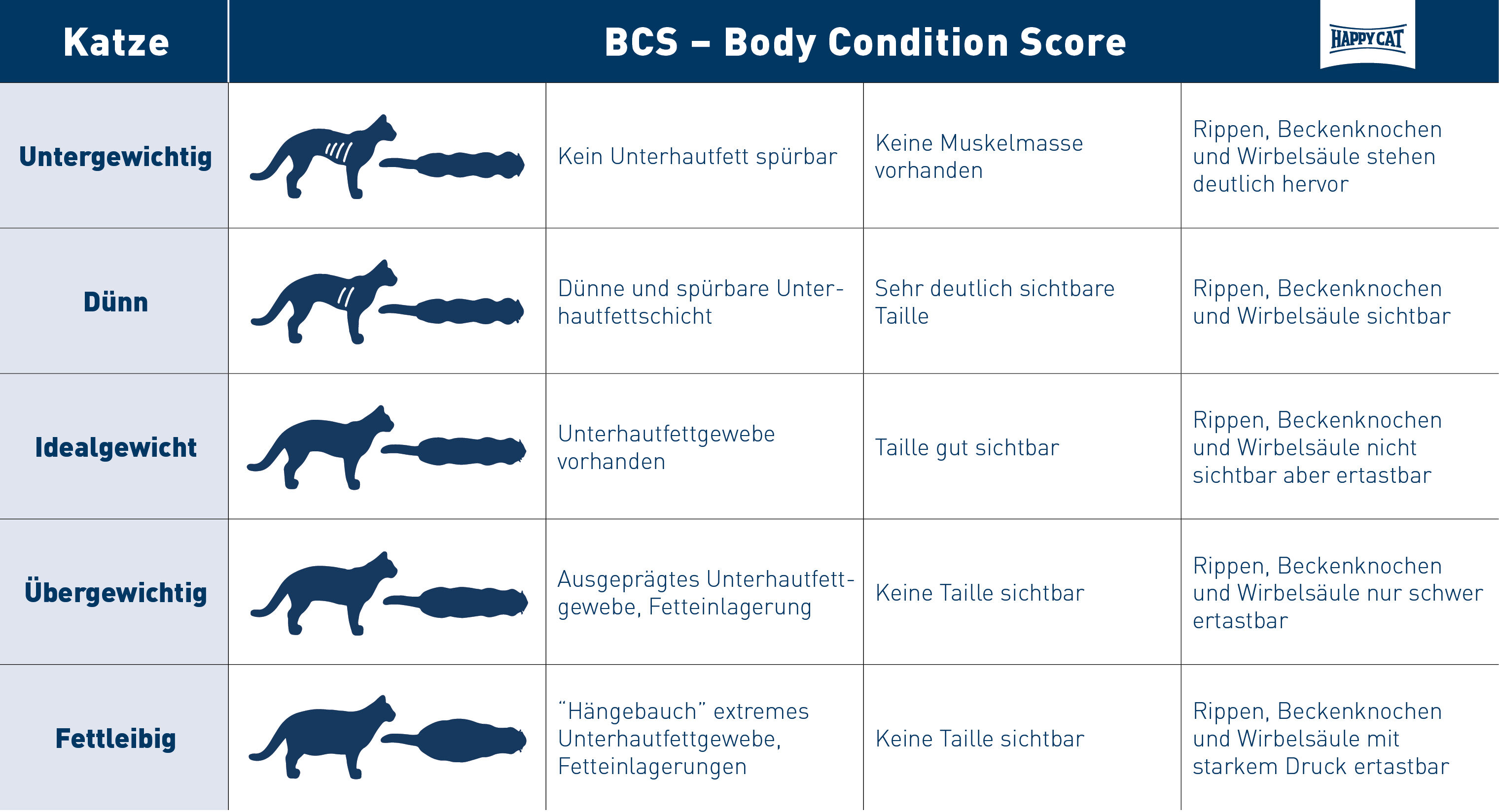 Übersicht über BCS Stufen einer Katze.