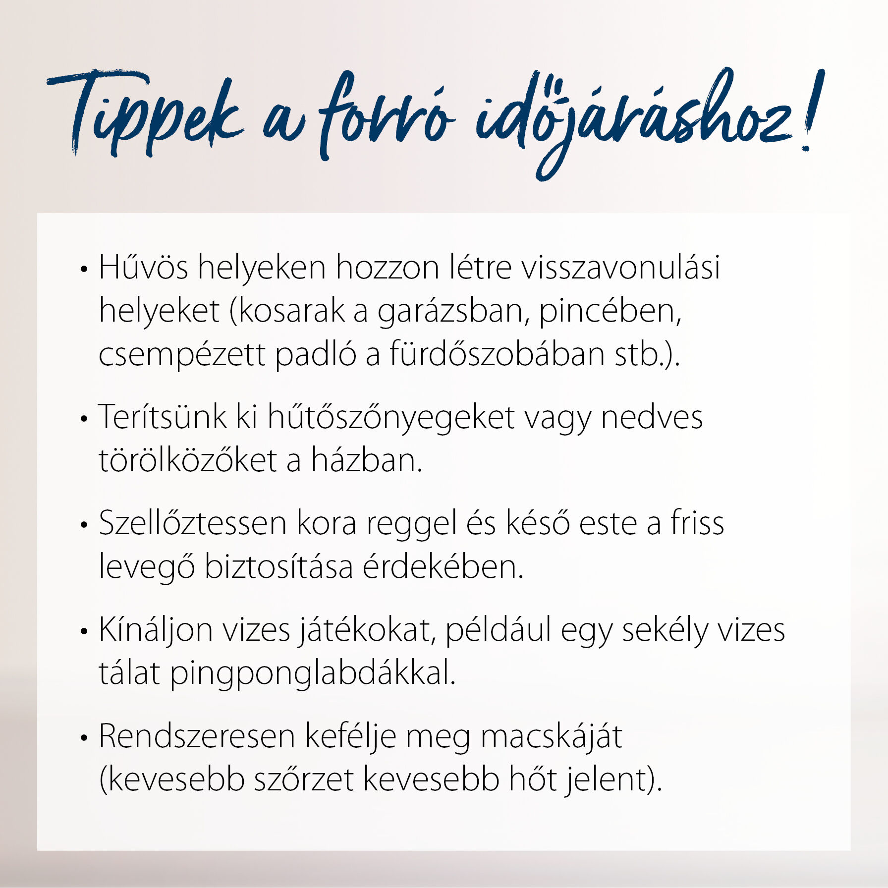 Auflistung mit Tipps bei Hitze für Katzen.