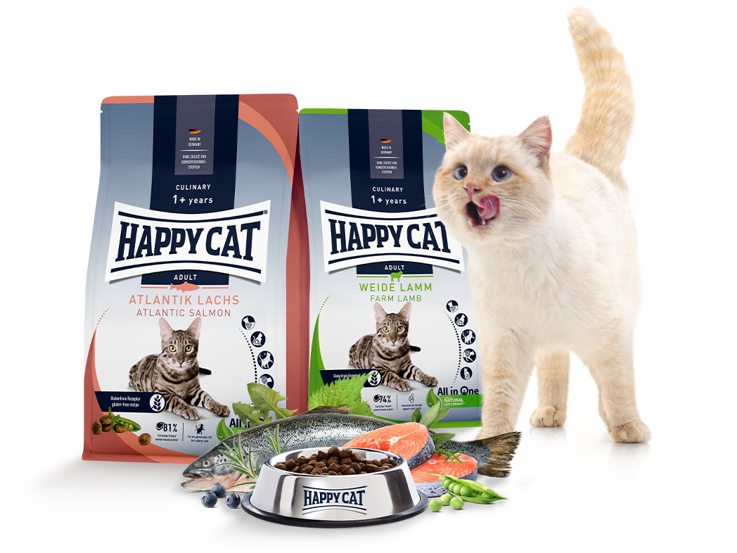 Zwei Packungen Happy Cat Culinary Trockenfutter mit Futternapf und schleckender Katze