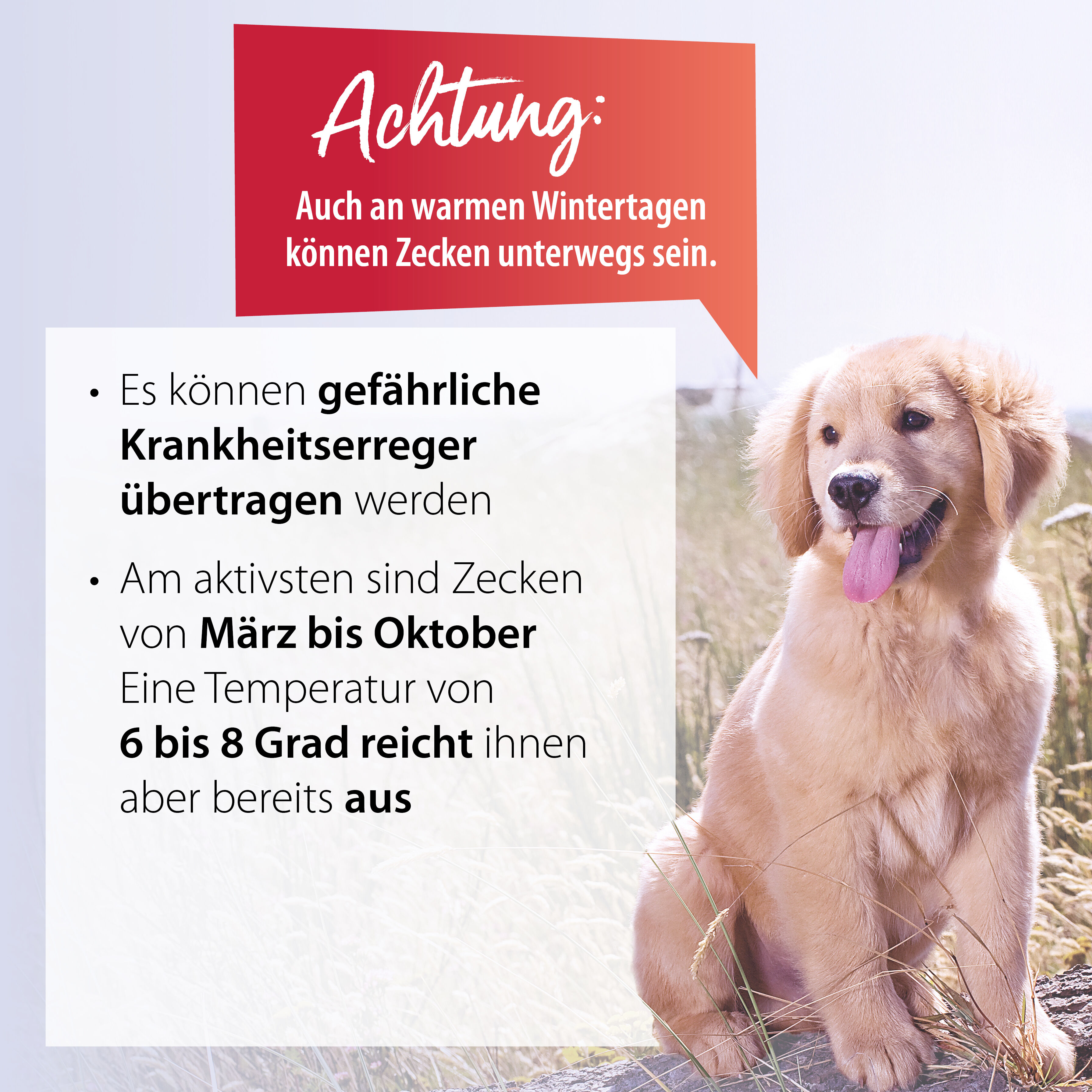 Auflistung wann Zecken unterwegs sind.
