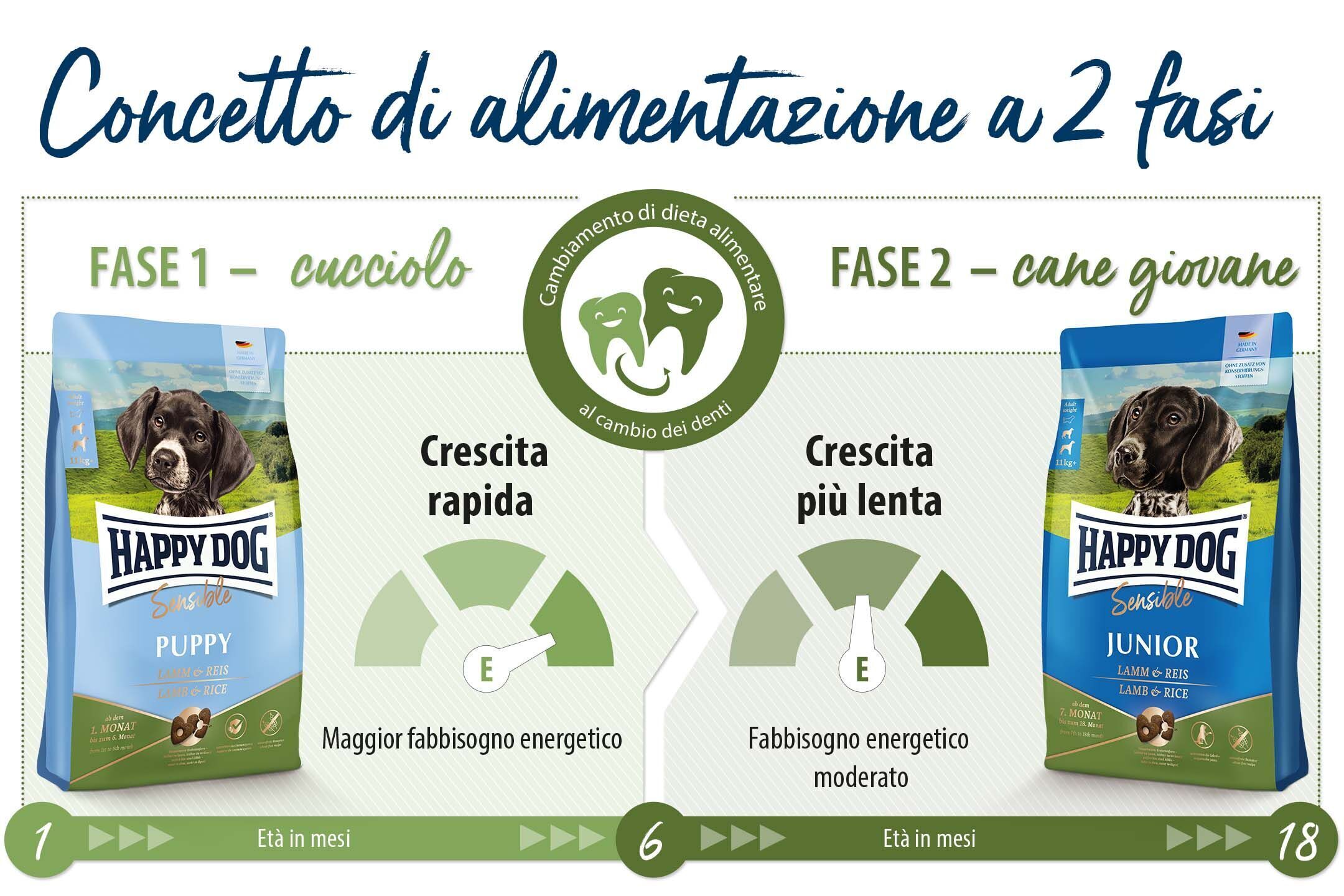 Hundetrockenfutter-Verpackungen mit zwei Phasen: "Puppy" für schnelles Wachstum, höherer Energiebedarf; "Junior" für langsameres Wachstum, moderater Energiebedarf. Text: "Concetto di alimentazione a 2 fasi".