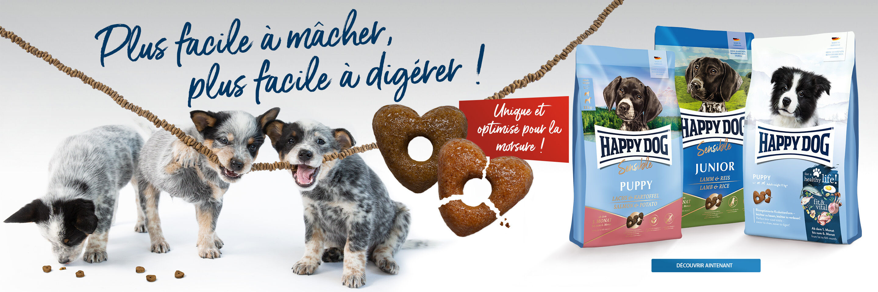 Drei Welpen kauen an einer Schnur mit Kroketten. Daneben stehen Futtersäcke von Happy Dog.
