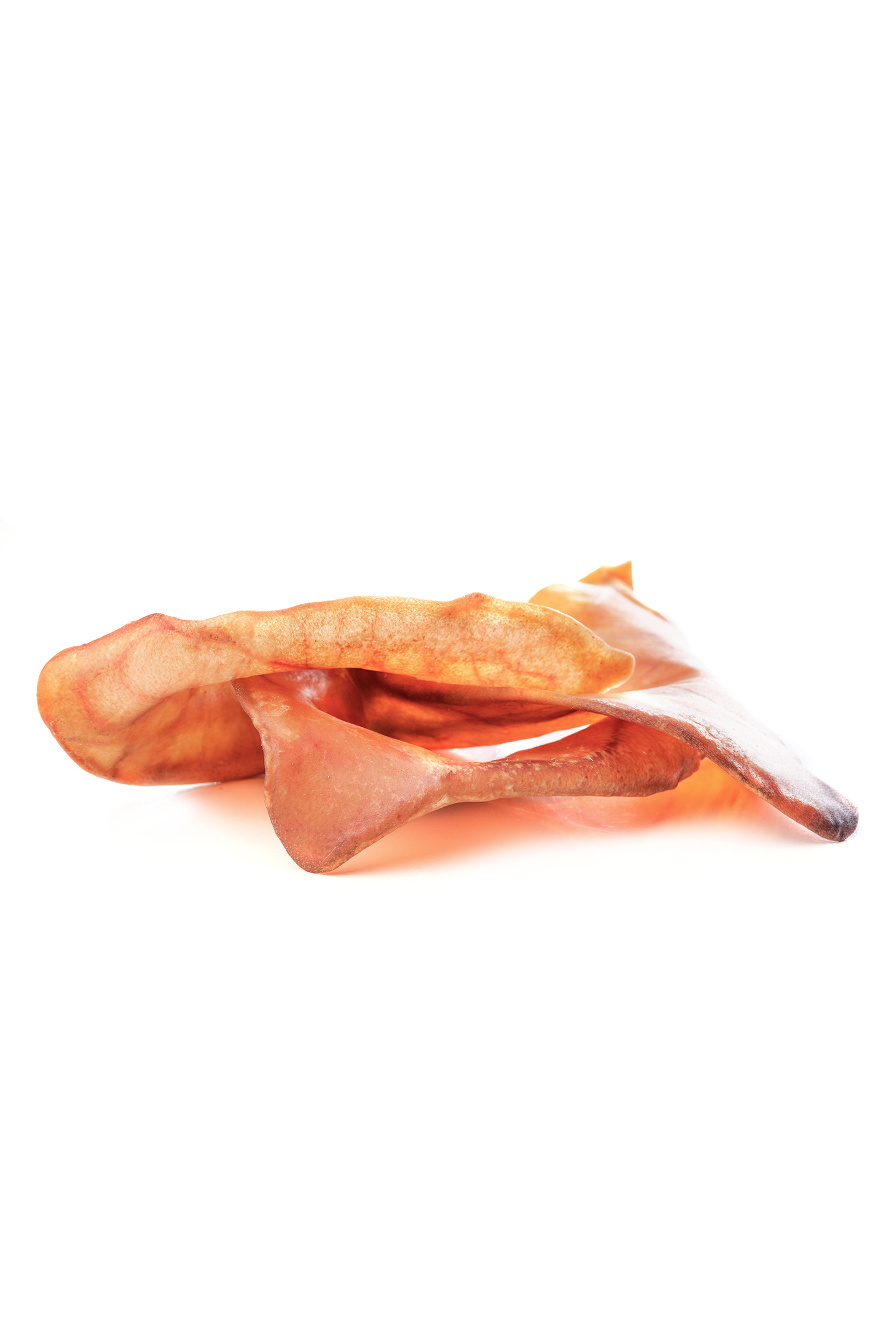 Zwei getrocknete Schweineohren liegen auf weißem Hintergrund. Sie sind orange-braun gefärbt und haben eine leicht glänzende Oberfläche. Happydog könnte dieses Produkt als Kausnack präsentieren.