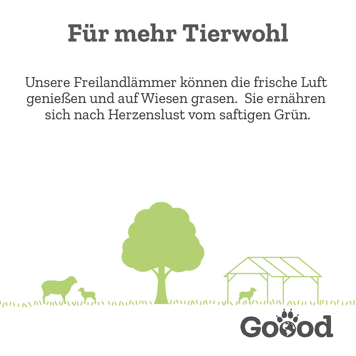 Schafe grasen auf einer Wiese mit Bäumen und Unterstand. Text: „Für mehr Tierwohl. Unsere Freilandlämmer genießen frische Luft und saftiges Grün.“ Daneben das Logo „Goood“.