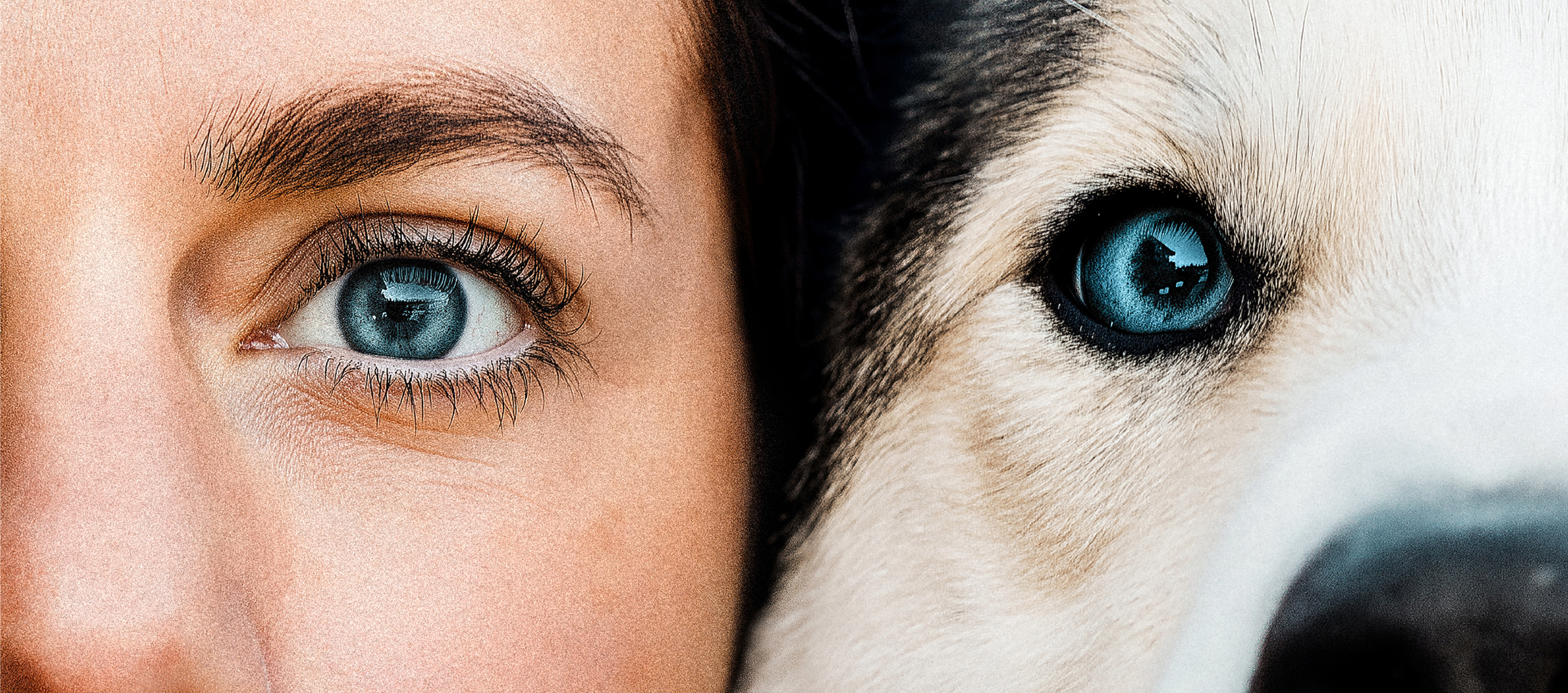 Ich seh' genau,<br>was gut für dich ist!