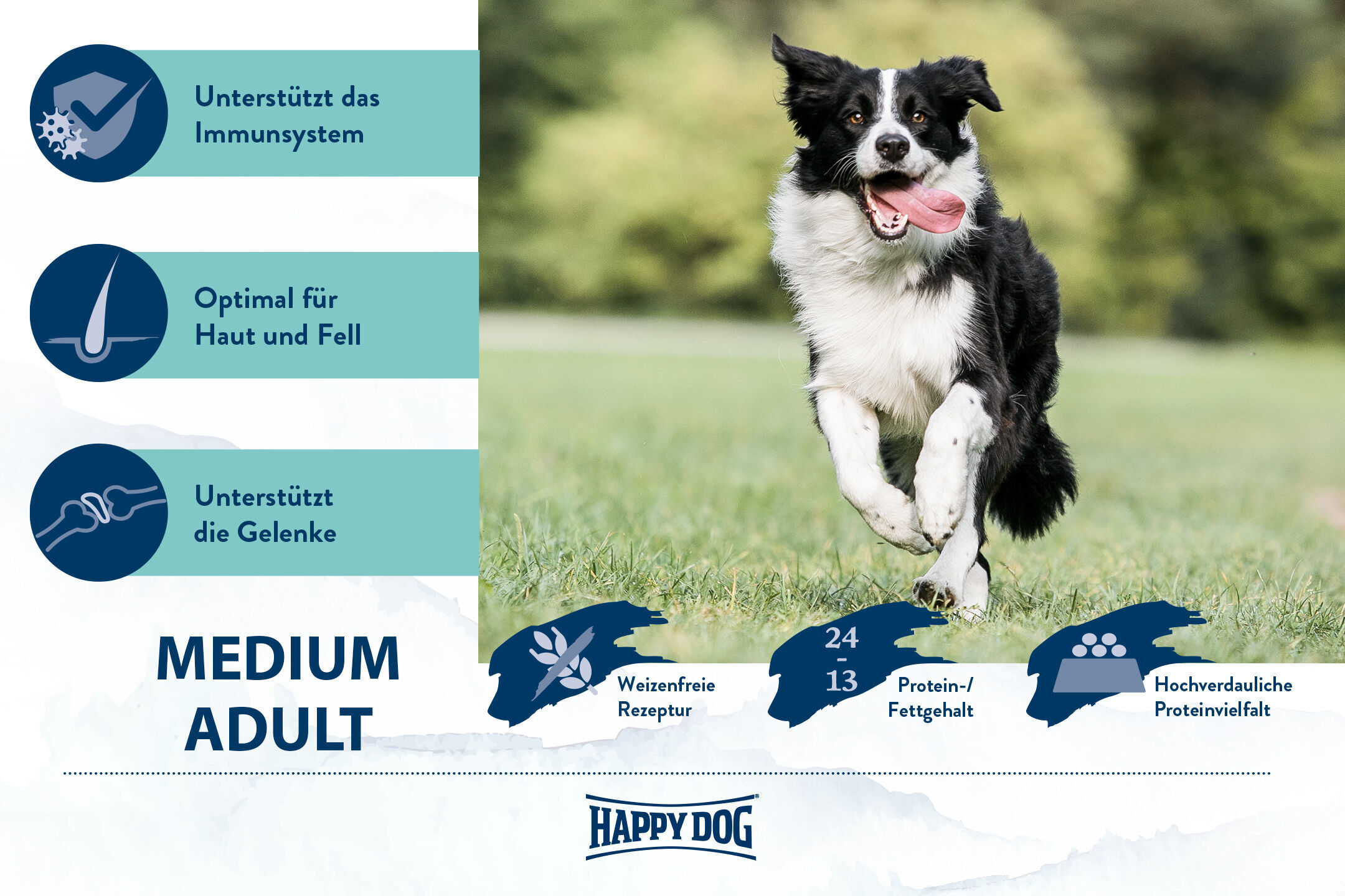 Ein spielender Hund in einem Park; daneben Text: "Unterstützt das Immunsystem, optimal für Haut und Fell, unterstützt die Gelenke." Happydog-Marke betont weizenfreie Rezeptur.