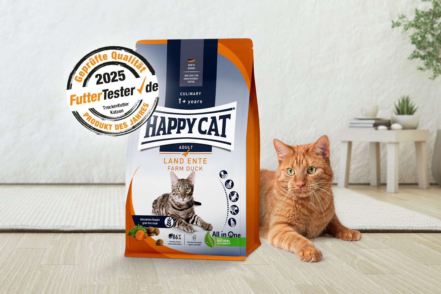 Eine rote Katze liegt neben einer Trockenfutterpackung