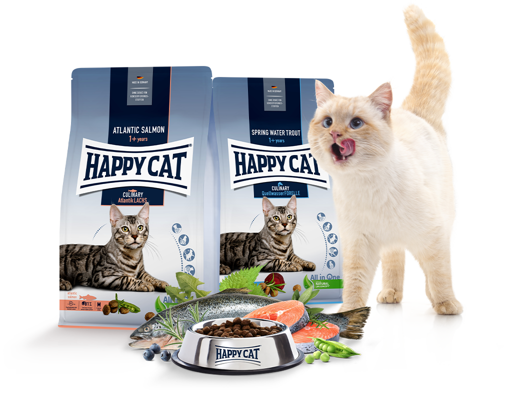 Zwei Packungen Happy Cat Culinary Trockenfutter mit Futternapf und schleckender Katze