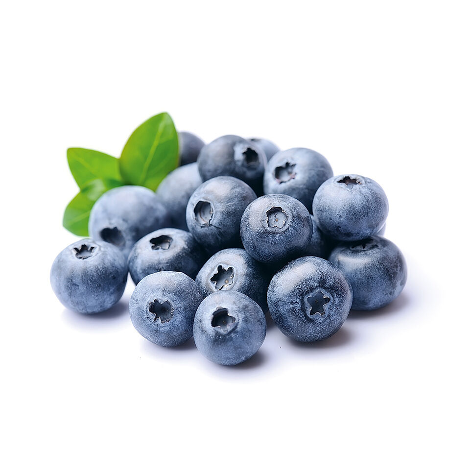 Ca. eine Handvoll frischer Heidelbeeren lose mit etwas Grรผn dabei