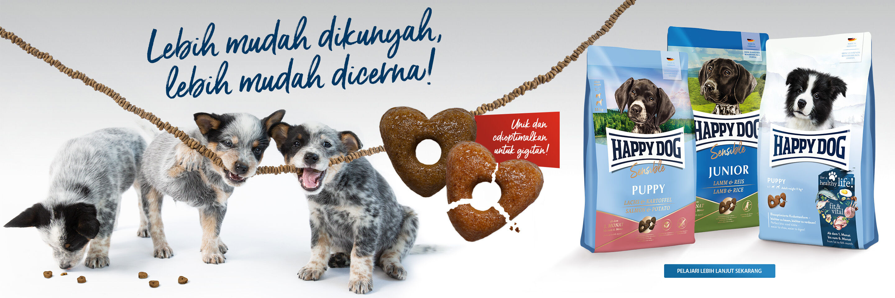 Drei Welpen kauen an einer Schnur mit Kroketten. Daneben stehen Futtersäcke von Happy Dog.