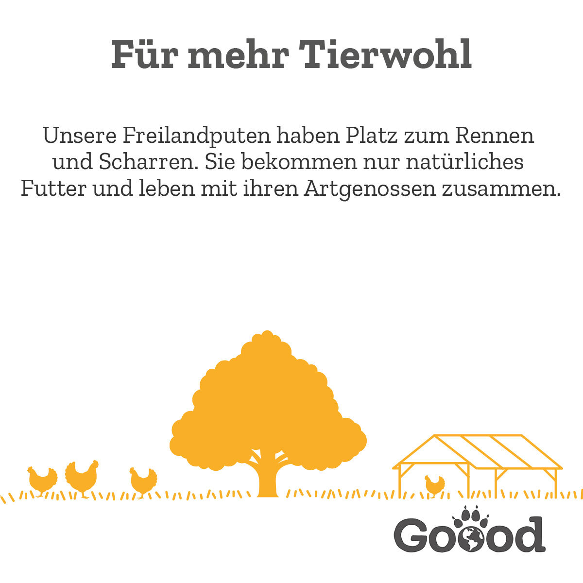 Text: "Für mehr Tierwohl. Unsere Freilandputen haben Platz zum Rennen und Scharren. Sie bekommen nur natürliches Futter und leben mit ihren Artgenossen zusammen." Bild zeigt Hühner, Baum, Stall und "Goood"-Logo.