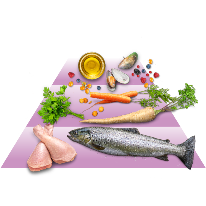 Eine Pyramide mit Fleisch, Fisch, Gemüse und Ölen wird dargestellt.