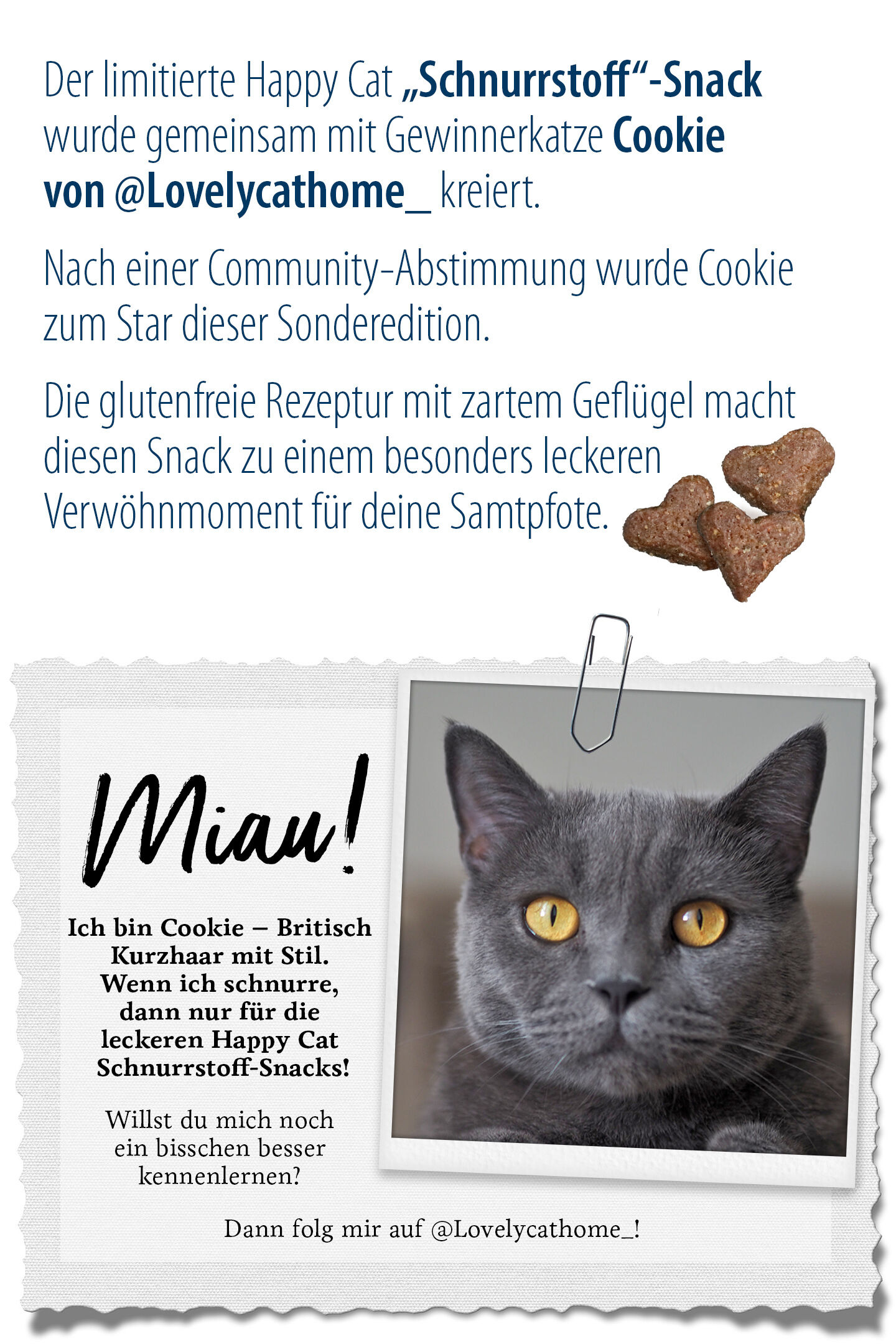 Ein Bild der Katze "Cookie" und eine Beschreibung zur Entstehung des Schnurrstoff Crunchy Snack von Happy Cat