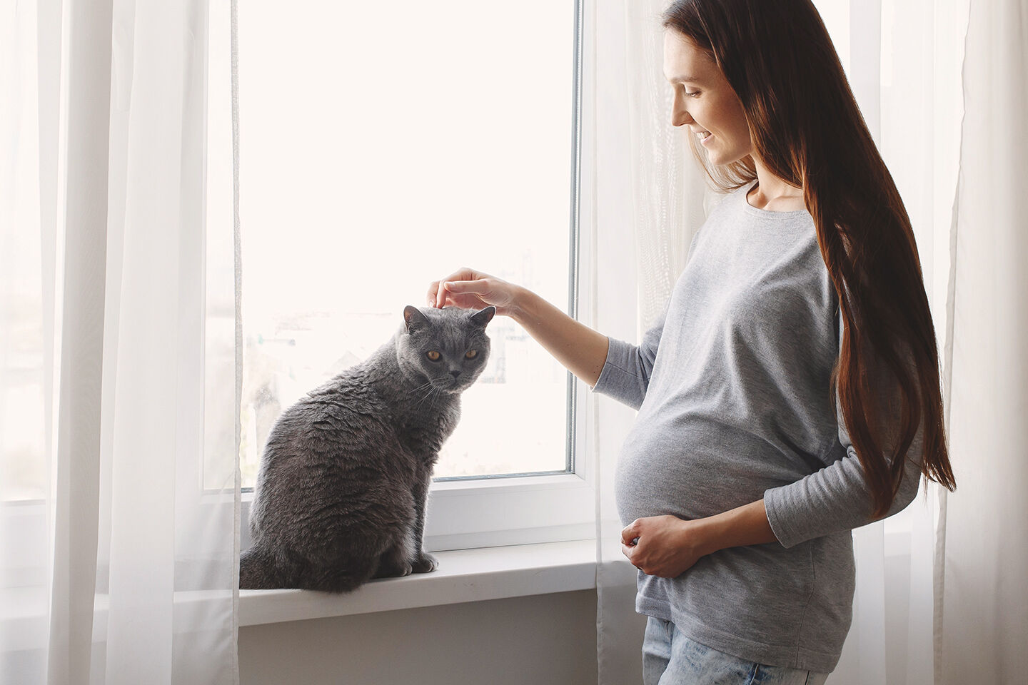 Eine graue Katze sitzt am Fenster und wird von einer schwangeren Frau gestreichelt