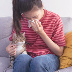 Eine Frau sitzt mit einem Taschentuch in der Hand auf der Couch, neben ihr sitzt eine Katze.