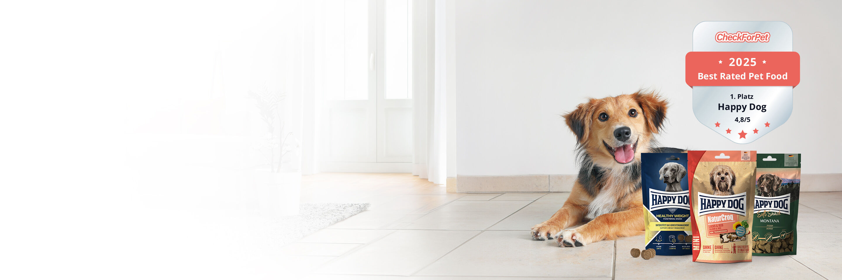 Ein Hund liegt neben drei Packungen Snacks