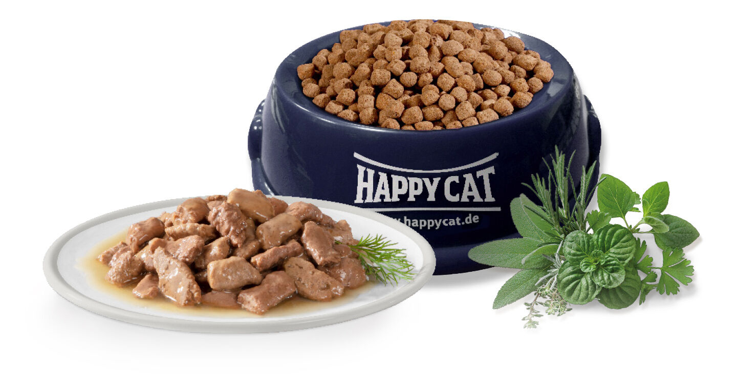 Ein blauer Napf mit Trockenfutter und davor steht ein weißer, flacher Teller mit Nassfutter für Katzen