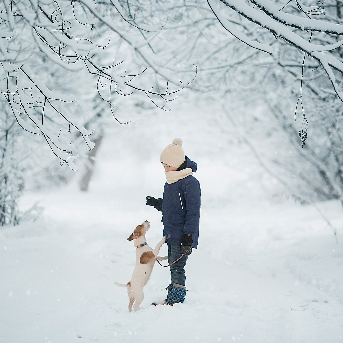 Ein Junge steht mit seinem Hund im Schnee und gibt ihm ein Leckerli.