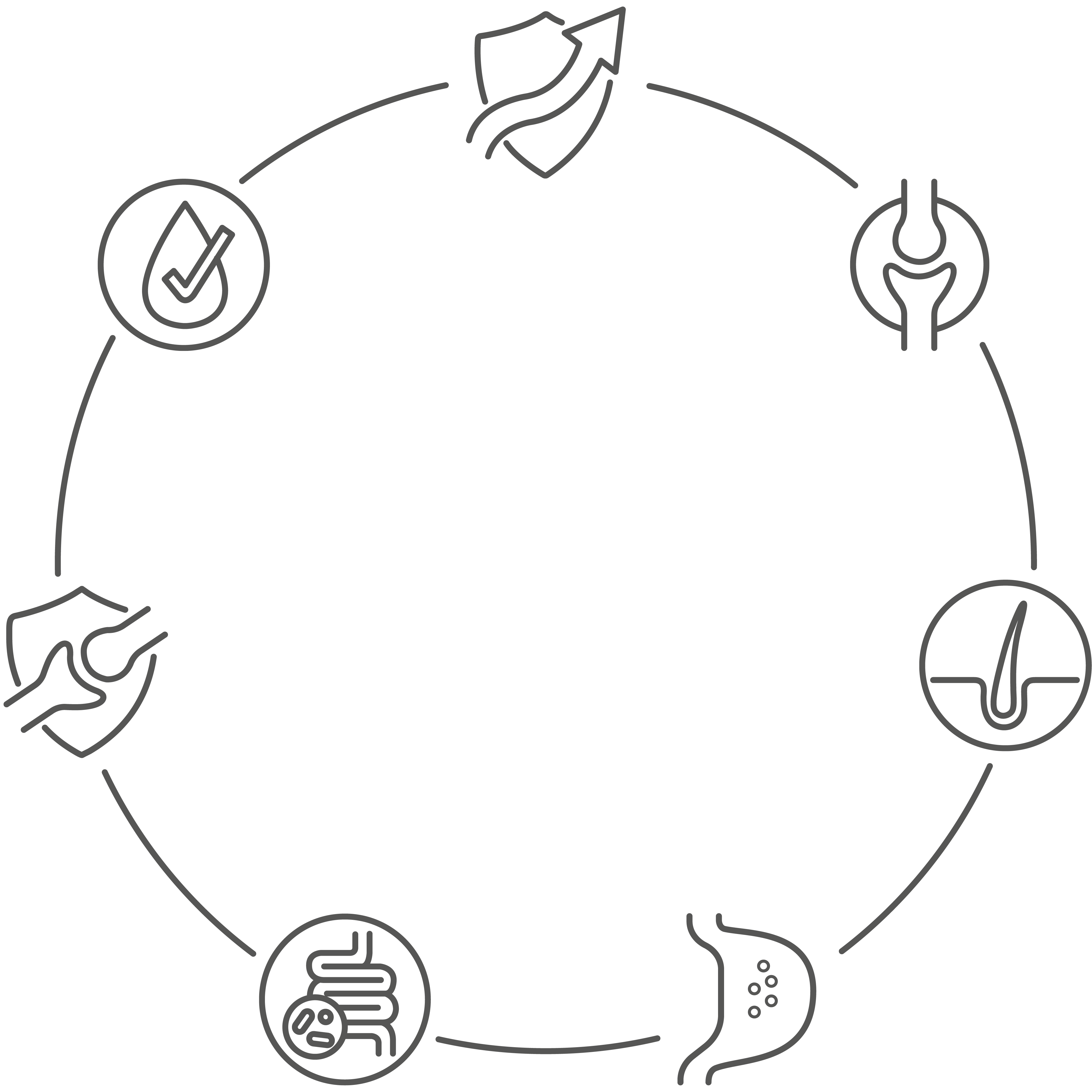 Icon eines Kreises verschiedener Elemente, welche die Bedürfnisse eines Hundes darstellen.