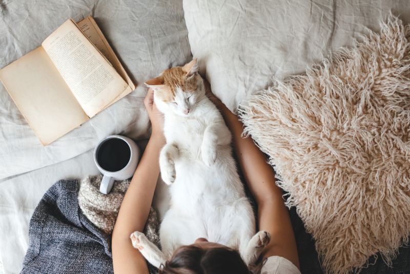 Was Ist Der Größte Liebesbeweis Einer Katze Die größten Liebesbeweise einer Katze